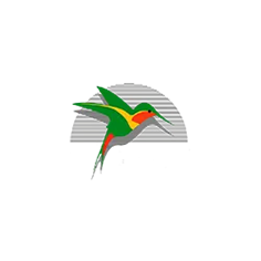 Logo colibri